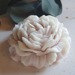 Bougie pivoine